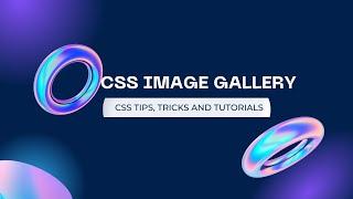 CSS Portfolio Gallery | CSS Image Gallery Tutorial #css #portfolio #image #tutorial