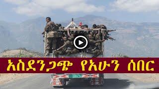 የአሁን ሰበር ዜና | zehabesha,the habesha,ethiopian news today Feb 3 2022, feta daily, tigray today