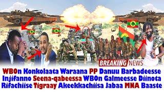 ODUU Hatattama: WBOn Haleellaa Geggeesseen Konkolaataa Waraana PP Danuu Barbadeese| OMN AGM Ethiopia