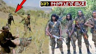 ሰበር ቪዲዮ አሁን የወጡ የጉድ መረጃዎች ድንቅ ልጆች Ethiopian News| Feta daily|Zehabesha| Ethio 360| Ethio forum| EMS