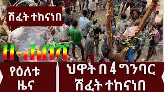 Ethiopia: ዘ-ሐበሻ የዕለቱ ዜና | zehabesha today | Daily News  / feta daily / zena tube / zehabesha amharic