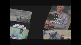 funny tiktok collection ethiopia best video//today amharic reaction ethiopia funny etv ebs