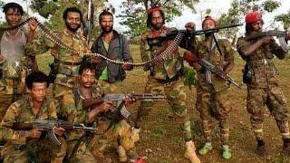 ODUU AMMEE Oduuwwan jajjaboo Oolmaa Oromiyaa fi Ethiopia Oduu BBC Guyyaa Har'aa |GAMTAA MEDIA
