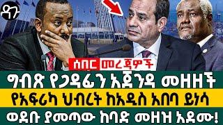ግብጽ የጋዳፊን አጀንዳ መዘዘች፣ የአፍሪካ ህብረት ከአዲስ አበባ ይነሳ ወደቡ ያመጣው ከባድ መዘዝ አደሙ! - Ethiopia