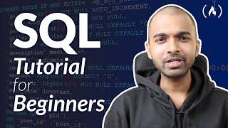 SQL Tutorial for Beginners (and Technical Interview Questions Solved)