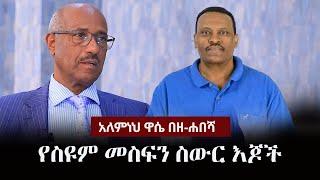 Alemneh Wase BeZehabesha - (አለምነህ ዋሴ በዘ-ሐበሻ) - የስዩም መስፍን ስውር እጆች | Seyoum Mesfin