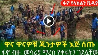 ሰበር ዜና|Ethiopian news|feta daily news|zehabesha|eregnaye|Ethiopia today Special news |Top mereja