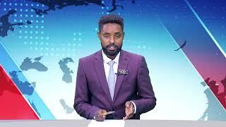 May 24 , 2023  - Awede   business Abbay Tv